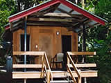 cape tribulation budget accommodation at cape trib beach house