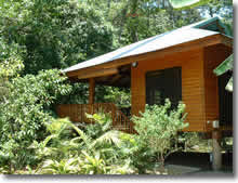 cape tribulation accommodation north queensland