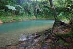 daintree accommodation