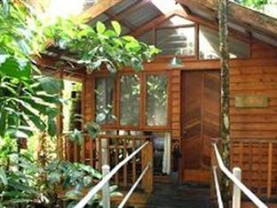 cape tribulation accommodation at daintree wilderness lodge