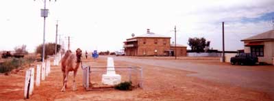 pub in maree south australia