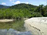 site of cape tribulation crocodile attack