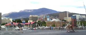 hobart tasmania