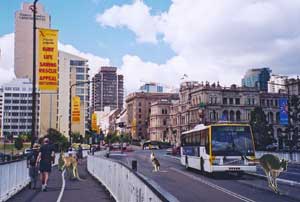 brisbane bus transport