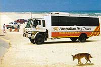 brisbane fraser island