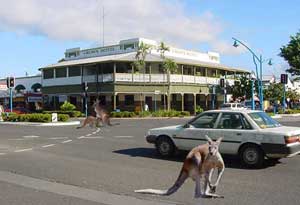 rusty's pub in  cairns