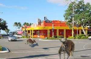 johnno's cairns