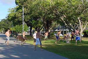 cairns esplanade