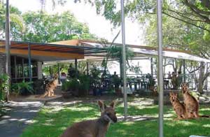 fannie bay  museum darwin northern territory