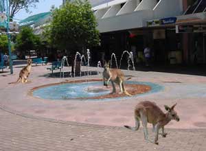 darwin northern territory