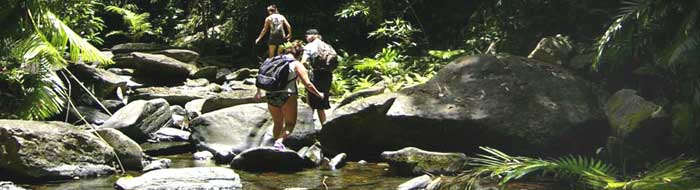 hiking in the national parks