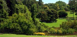 melbourne botanic gardens