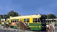 Melbourne tram