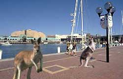 circular quay sydney