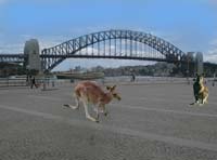 sydney harbour bridge