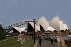 sydney opera house and harbour bridge