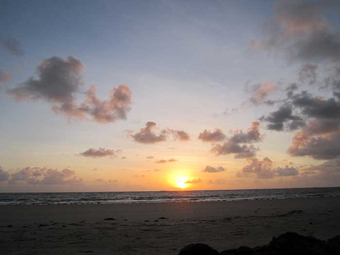 solar eclipse in cape tribulation, australia