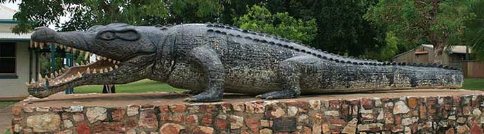 big crocodile in normanton