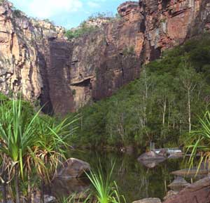 crocodile trap at Jim Jim falls