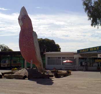 The Big Galah