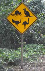 animal warning sign