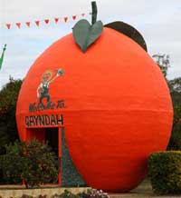 Big orange in Gayndah