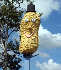 the big peanut in atherton tableland queensland
