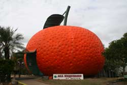 big mandarin 