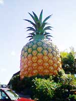 big pineapple nambour