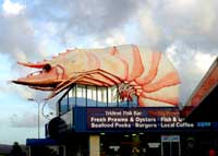 big prawn