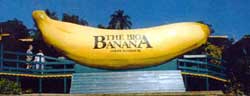 big banana coffs harbour