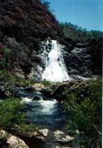 bloomfield falls queensland