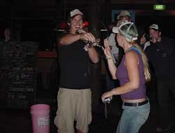 cane toad races in pk's jungle village cape tribulation daintree