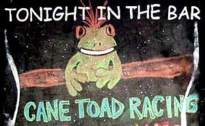 cane toad races in pk's jungle village cape tribulation daintree