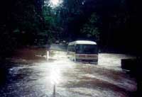 cape tribulation creek north queensland