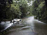 car in myall creek at cape tribulation