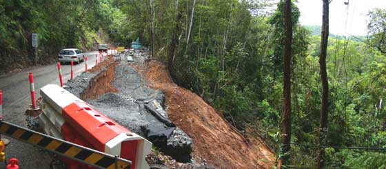 cape tribulation road