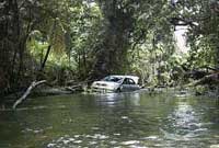 car in myall creek at cape tribulation