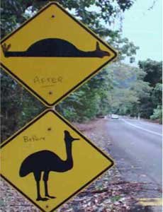 cassowary sign in daintree national park on the way to cape tribulation