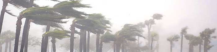 cyclone yasi