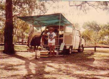 emu in katherine gorge national park