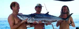 cape tribulation fishing