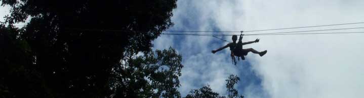 jungle surfing in cape tribulation