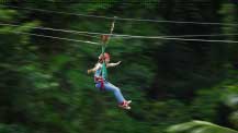 jungle surfing in cape tribulation