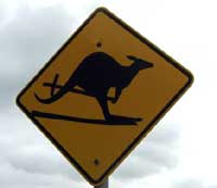 kangaroo sign