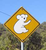 koala warning sign