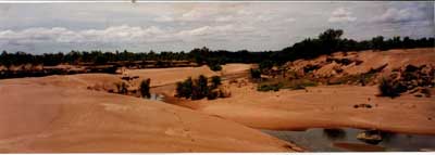 leichardt river in queensland