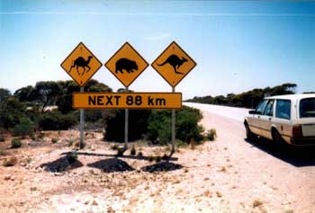 outback road between adelaide in south australia and perth in west australia