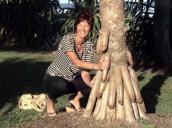 pandanus