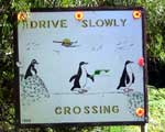 Penguin warning sign spotted by Bottom Bits Bus - Far South Wild of Tasmania